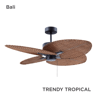 Trendy Tropical Collection